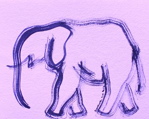 Elephant 36