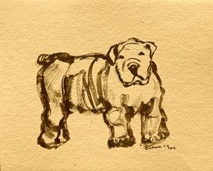 Expressive Bulldog Sketch