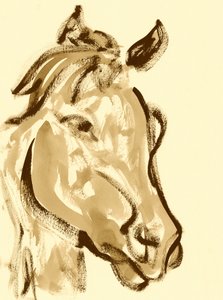Expressive Horse Head by Santhosh ch