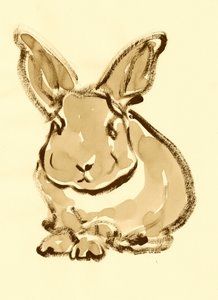 Gentle Bunny Sketch by Santhosh ch