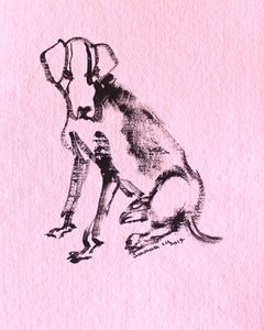 Ink Dog Sketch