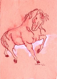 Majestic Red Stallion by Santhosh ch