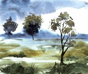 Misty Purple Trees