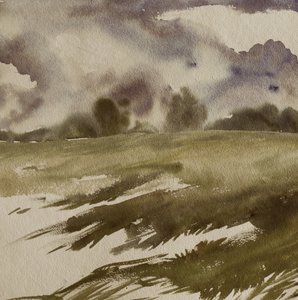 Moody Field Under Storm Clouds