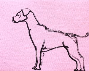 Pink Boxer Line Art