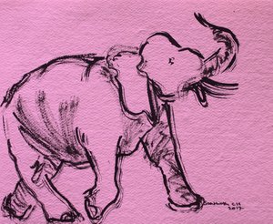 Pink Elephant Sketch
