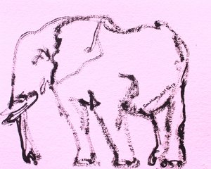 Pink Elephant Sketch