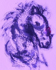 Purple Horse Spirit by Santhosh ch