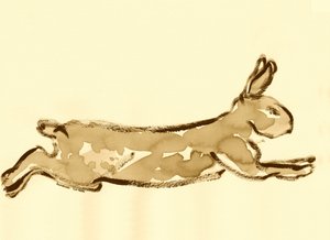 Running Rabbit Sketch by Santhosh ch