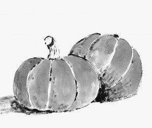 Rustic Autumn Pumpkins