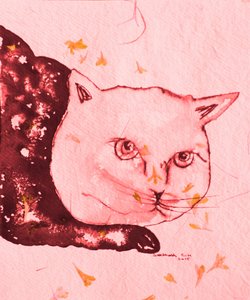 Serene Pink Cat by Santhosh ch