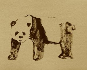 Stylized Panda Drawing