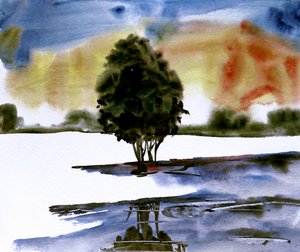 Sunset Tree Reflection