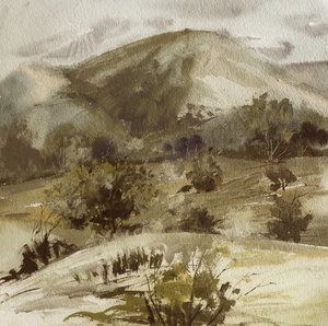 Tranquil Country Hills