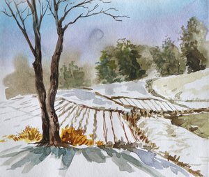 Winter Field Landscape
