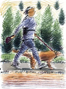 Walking the Dog by Sara Hayward