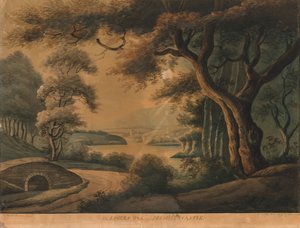 The Lovers Oak near Delville Castle