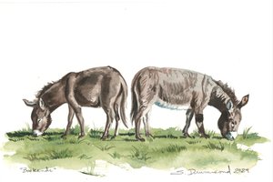 Bookends by Sarah Drummond