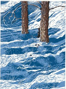 Spring Snowfall by Sarah Drummond