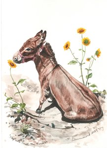 Stop and Smell the Flowers