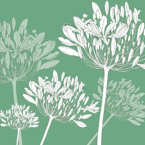 Agapanthus breeze, 2005 by Sarah Hough