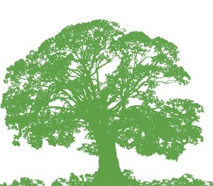 Climbing Tree by Sarah Hough