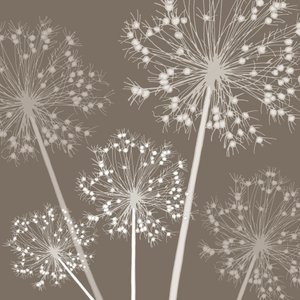 Starry Starry Night by Sarah Hough