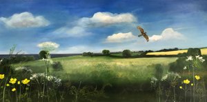 Buzzard