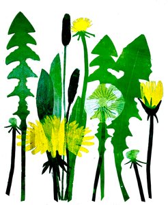 Dandelions by Sarah Thompson Engels