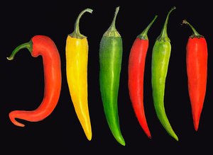 Five Chillies, 2024