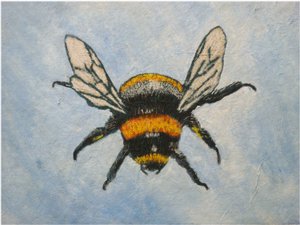 Bumble Bee, 2015