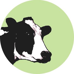 Cow by Sarah Thompson Engels