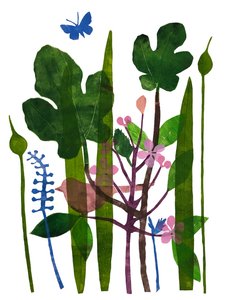Fig Leaves