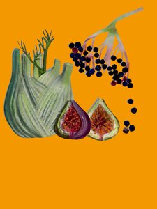 Fruit & Veggies Cutout