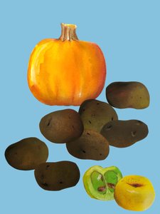 Fruit & veggies vegetables, 2020 by Sarah Thompson Engels