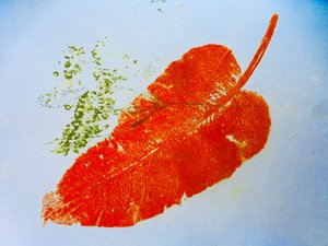 Orange Leaf