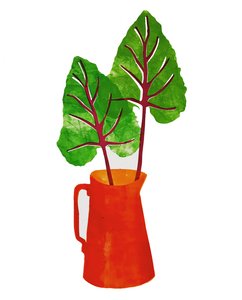 Red Jug