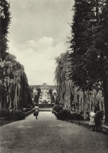 Potsdam, The Terraces of Sanssouci by Sasha Stone
