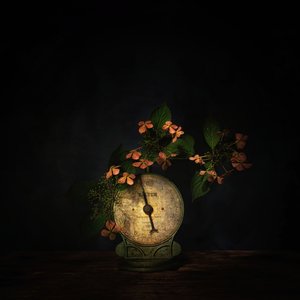 Dark Floral Scale Still Life by Saskia Dingemans