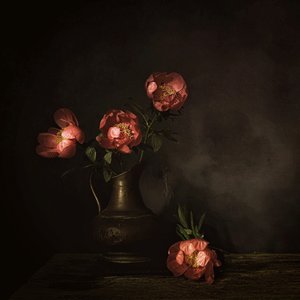 Deep Red Peony Blooms by Saskia Dingemans