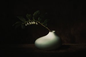 Delicate Bloom Dark Still Life by Saskia Dingemans