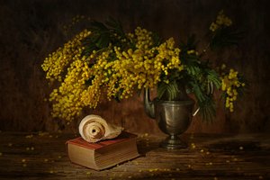 Golden Mimosa Still Life