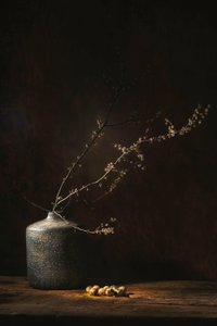 Moody Botanical Still Life
