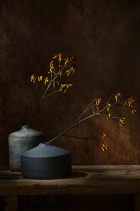 Moody Botanical Vases