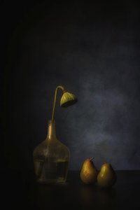 Moody Lotus and Pears by Saskia Dingemans