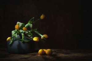 Moody Yellow Tulips Still Life