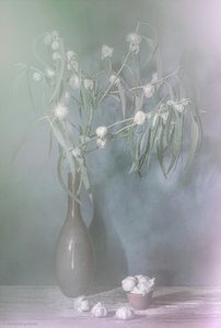 Winter Glow by Saskia Dingemans