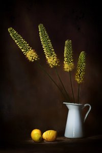 Yellow Flowers and Lemons by Saskia Dingemans