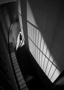 Solitary Shadow Walk