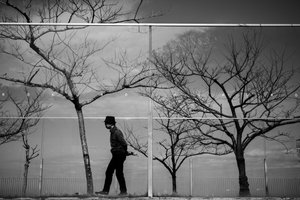 Solitary Urban Reflection